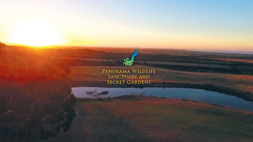 Aerial View – Panorama Garden Estate